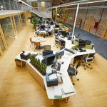 fundacion-biodiversidad-gallery-4_1280_853