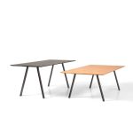 INCLASS_PLANIAtable_25