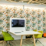 showroom baja