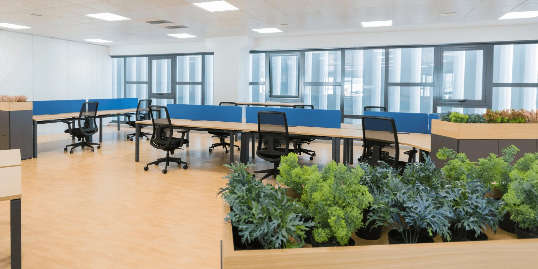 ergonomia en oficina abierta